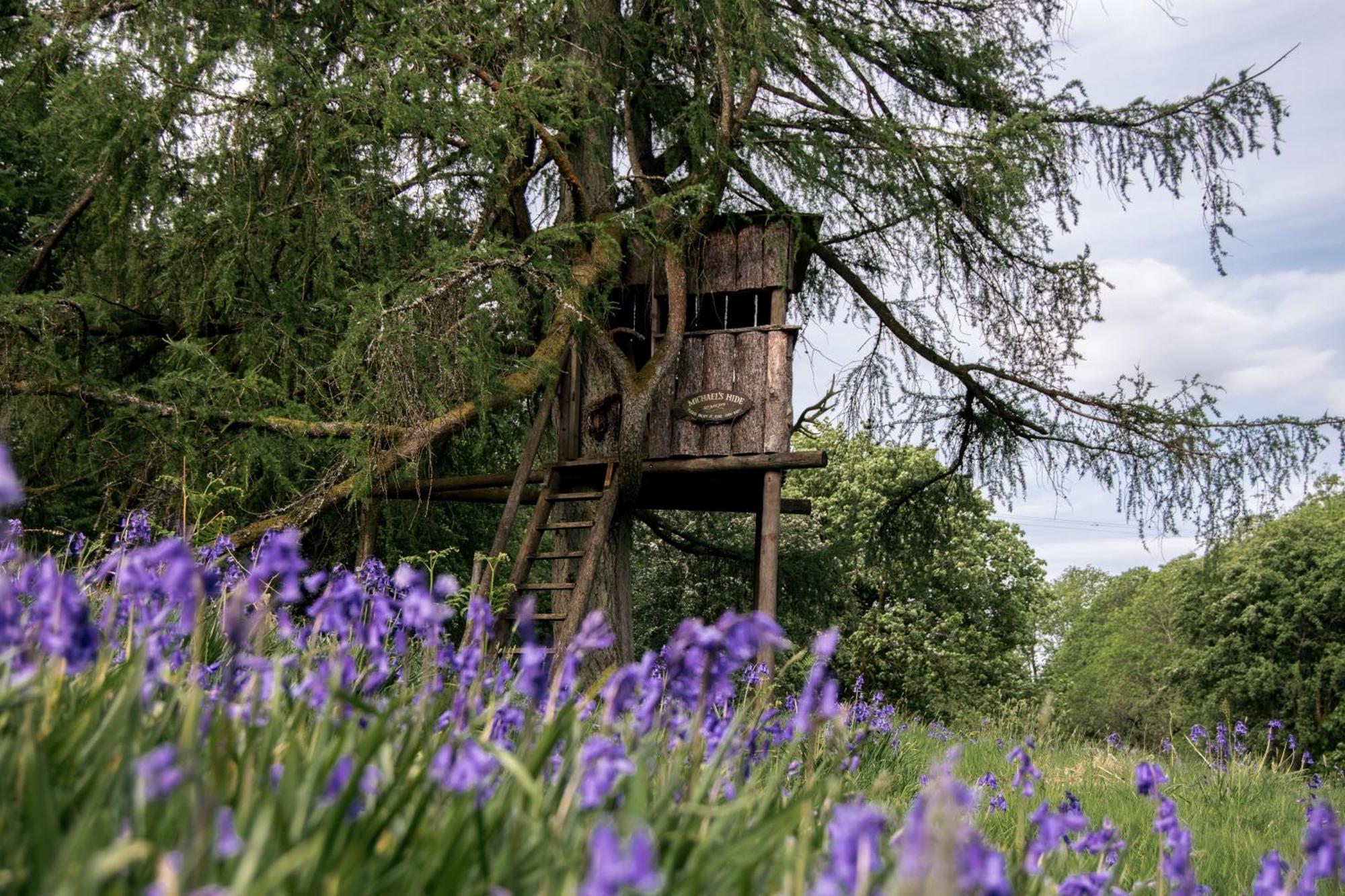 Отель Wild Boar Estate Боунес-он-Уиндермер Экстерьер фото